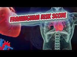 framingham risk score human heart