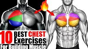 10 best chest exercises for building