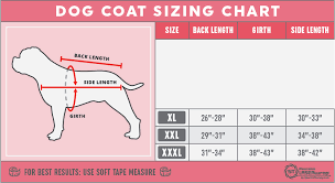 Large Dog Sizing Chart Spectra Therapy