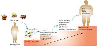 pathophysiology of obesity and its