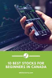 best stocks for beginners in canada