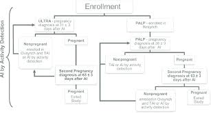 Flowchart Illustrating The Timeline For Assignment And