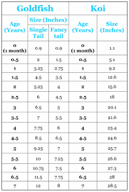 23 Detailed Koi Fish Growth Chart