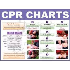 Protector Firesafety India Pvt Ltd Cpr Chart In