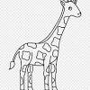 60 sketsa hewan sederhana yang mudah di gambar via pelajarindo.com. 1