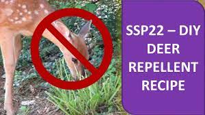diy deer repellent recipe ssp22 you