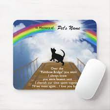 rainbow bridge memorial poem for cats