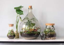 How To Make A Terrarium