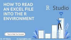 an excel file into the r environment
