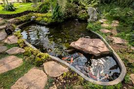 15 Diy Fish Ponds You Can Build This