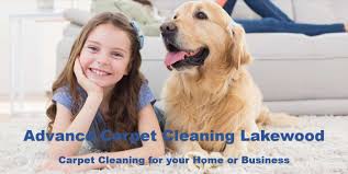 lakewood co carpet cleaning advance