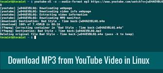 Music tracks, mp3 downloads, and song lyrics are all over the internet. How To Download Mp3 Tracks From A Youtube Video Using Youtube Dl