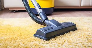 professional carpet cleaning in