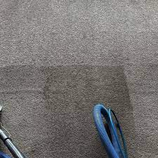 carpet cleaning in port orchard wa