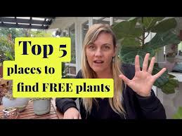 Top 5 Places To Get Free Plants How