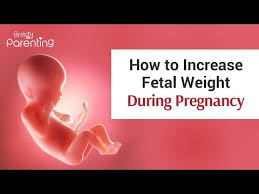 increase fetal weight during pregnancy