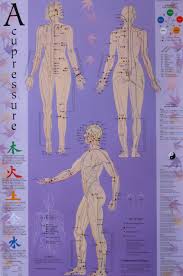 Acupressure Chart Points Meridians Michael Reed Gach