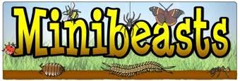 Minibeasts Banners | Teaching Ideas