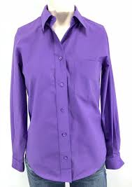 Details About Foxcroft Wrinkle Free Shirt Purple Petites 6