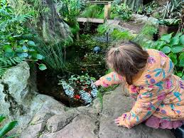 gardenworld activities for kids mum s
