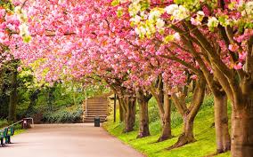 spring nature wallpaper 60 images