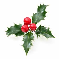holly – irish culture and traditions