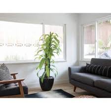 68 artificial plants home decor