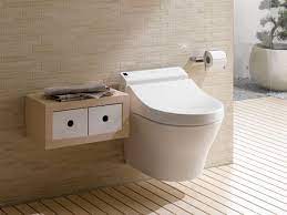 why a wall hung toilet pro remodeler