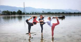 yoga teacher training course in india
