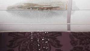 fix water damage on bathroom ceilings