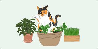Cat Friendly Plants And Which Ones To