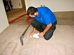 nelson carpet cleaning excellent