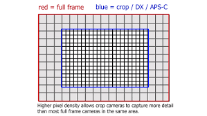 crop camera vs cropping full frame