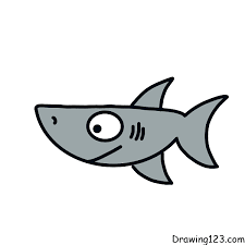 shark drawing tutorial how to draw