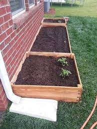 proximity of raised bed to the wall