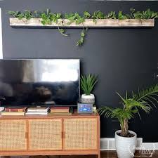 Diy Hanging Living Plant Wall