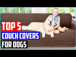 Top 5 Best Couch Covers For Dogs In