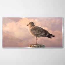 Animal Bird Seagull Sky Glass Wall Art