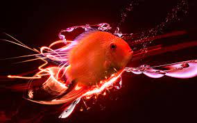 hd fish blood red parrot