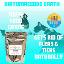 diatomaceous earth 100 food grade 1