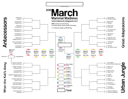 March Mammal Madness The Power Of The Bracket National