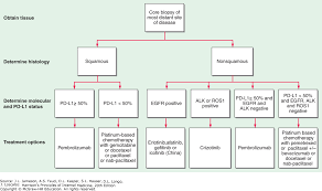Neoplasms Of The Lung Harrisons Principles Of Internal
