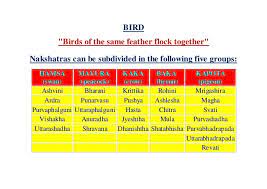 Nature web is mainly focusing on inspiring others to care about nature. Nakshatra And Their Birds In Malayalam Nakshatra Stars In Astrology Nakshatra Astrology Nakshatra Horoscope