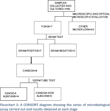 Identification Of Presence Of Candida Albicans In