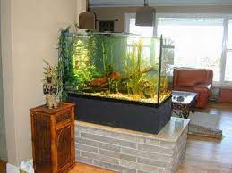 Kerala Home Aquarium Design gambar png