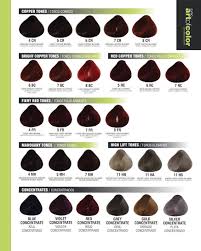 Mahogany Hair Color Chart Find Your Perfect Hair Style
