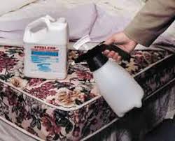 steri fab disinfectant insecticide