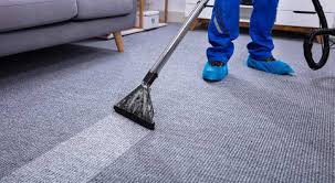 carpet and upholstery cleaning service