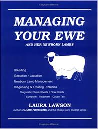 Managing Your Ewe And Her Newborn Lambs Amazon Co Uk Laura
