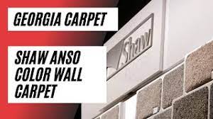 shaw anso colorwall carpet review
